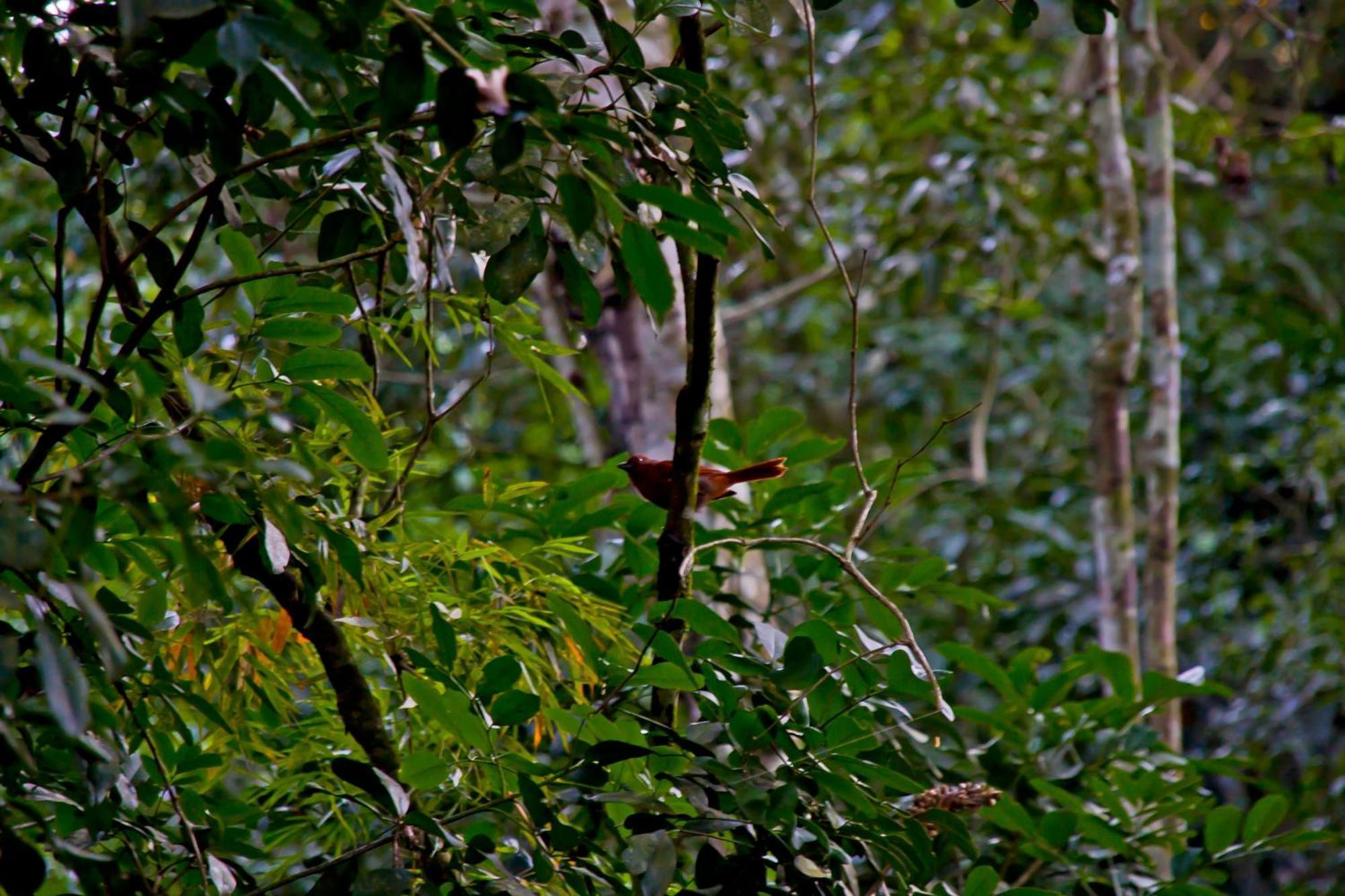 Lodge Tierra Guaraní Puerto Iguazú