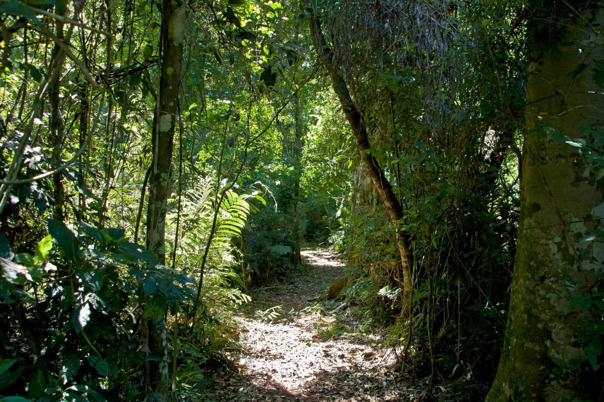 Lodge Tierra Guaraní *