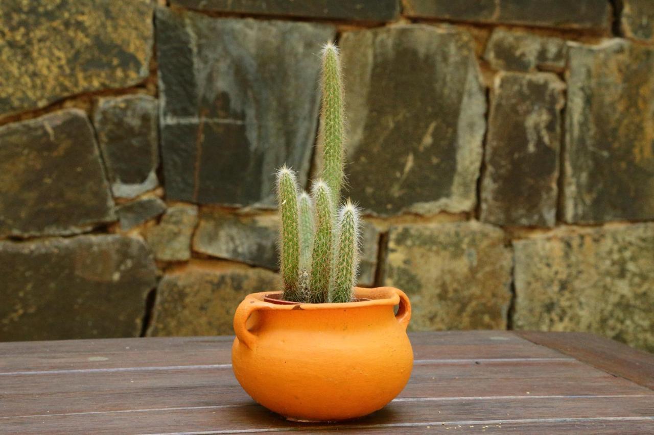 Tierra Guaraní